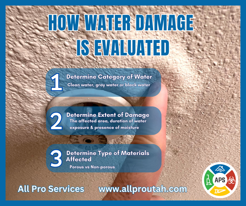 Commercial Disaster Restoration Procedures and Services: Recovering from Water, Fire and Other Disasters